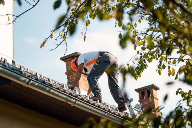 Quick and Trustworthy Emergency Roof Repair Services in Capitol View, SC