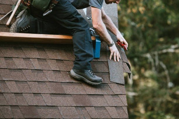Best Shingle Roofing Installation  in Capitol View, SC